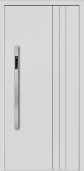 Haustüre Aluminium