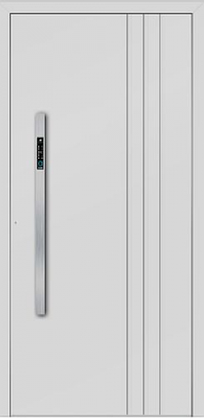 Haustüre Aluminium